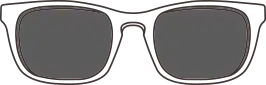 POLARIZED SUNGLASS LENSES